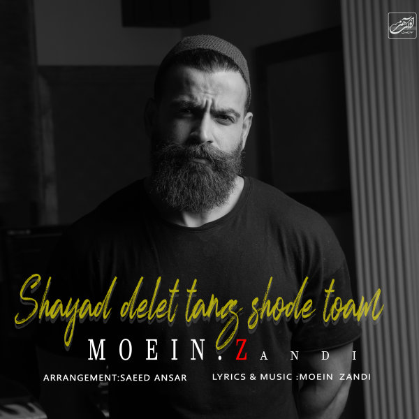 دانلود آهنگ شاید دلت تنگ شد توام